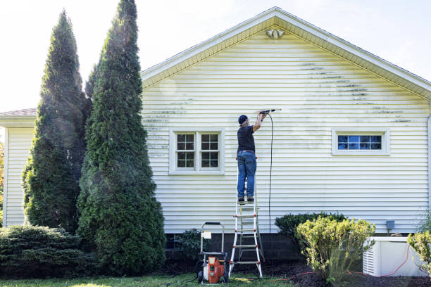 Best Patio and Deck Pressure Washing  in Kalona, IA
